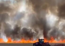 Flăcări apocaliptice la Gătaia: Incendiul se întinde pe 100 de hectare (Video)