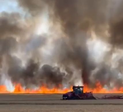 Flăcări apocaliptice la Gătaia: Incendiul se întinde pe 100 de hectare (Video)