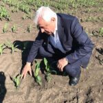 Agricultorii cer să fie declarată stare de calamitate din cauza secetei. Daea le răspunde poetic și le promite lumină