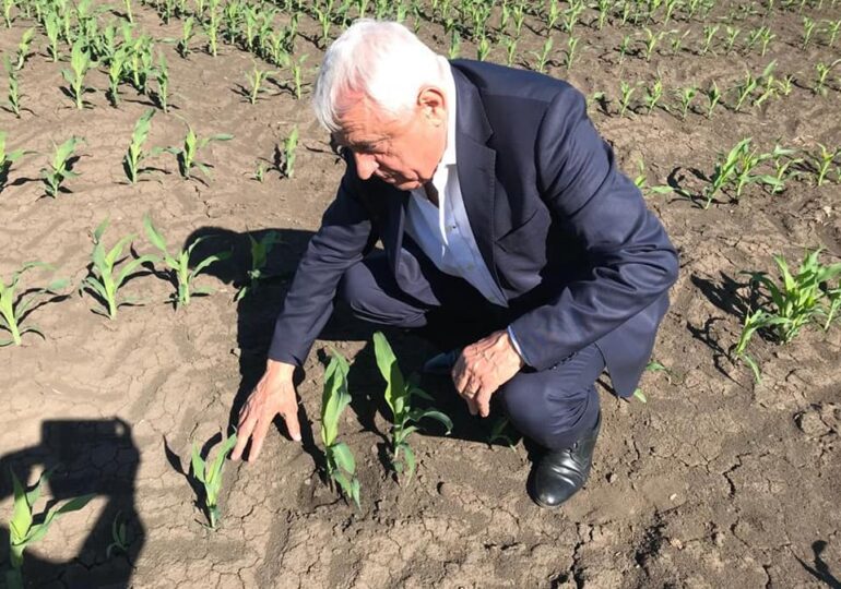 Ce crede ministrul Agriculturii, Petre Daea, despre rugăciunile pentru ploaie