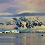 Singura insectă din Antarctica e în pericol de dispariție