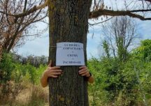 Se otrăvesc arbori într-un colț de parc din Bucureşti. Instituțiile au dat o amendă de 100 de lei și ridică din umeri. Ce-i de făcut?