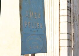 Casa memorială Amza Pellea din Băilești, lăsată în paragină de autorități, a fost închisă de fiica actorului