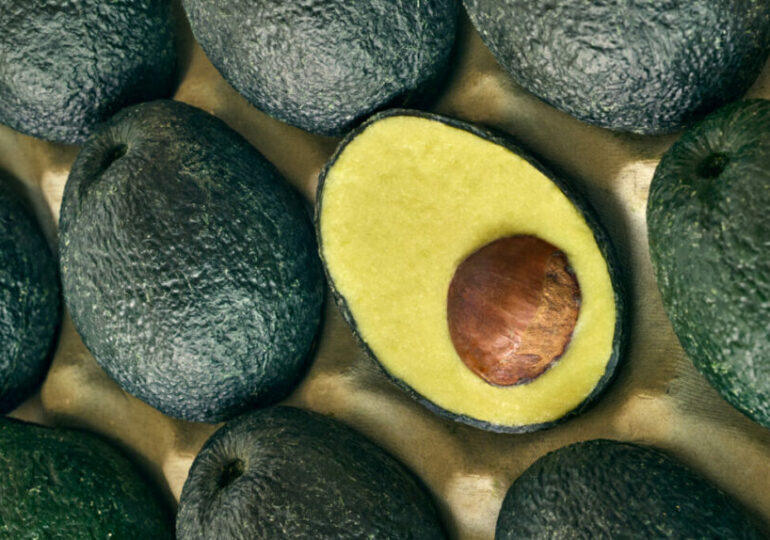 Evocado, alternativa sustenabilă la prea popularul avocado
