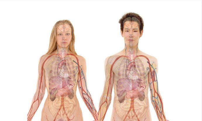 Tehnica SF care revoluționează transplanturile: Ne creștem singuri organele de care avem nevoie, în propriul corp