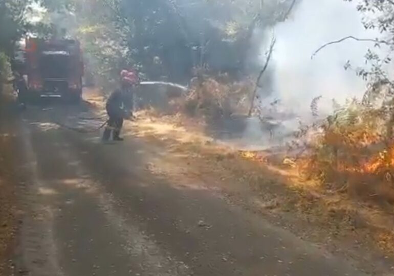 Prima misiune a pompierilor români care se luptă cu flăcările în Franța (Video)