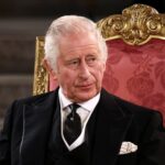 Regele Charles al III-lea vrea să îi împiedice pe prinții Harry și Andrew să preia interimatul funcțiilor sale – presă