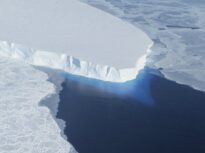 Banchiza din Antarctica dă semne de revenire, după patru ani cu minime istorice