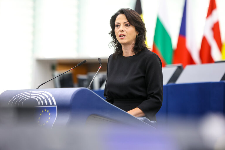 EP-136133D_Plenary_14_Hungary
