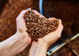 De ce cafeaua proaspat prajită e mai bună decât cea obișnuită