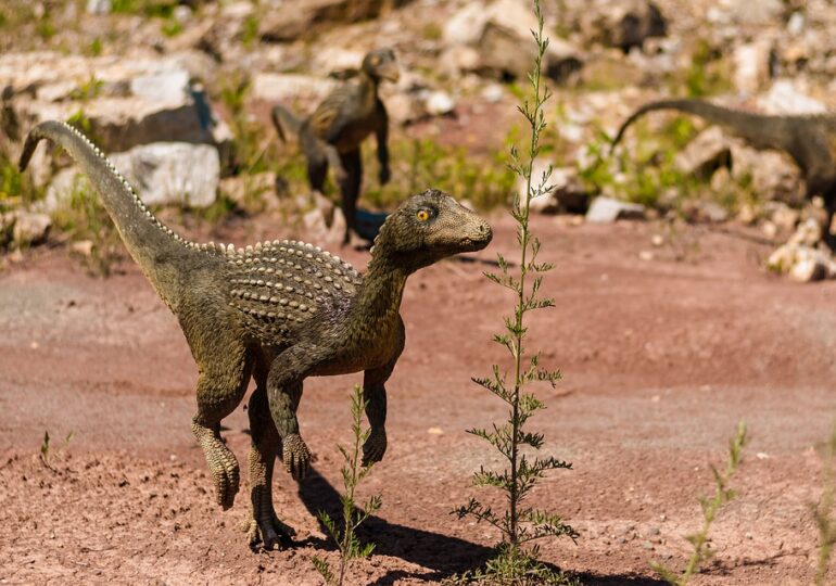 Cel mai vechi dinozaur din Africa spune o întreagă poveste