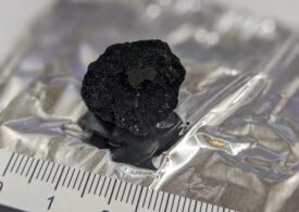 Apă extraterestră, descoperită pentru prima dată într-un meteorit care a căzut în Marea Britanie