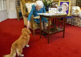 Elisabeta a II-a şi dragostea pentru câini: ”Un covor mișcător” care a testat loialitatea curţii