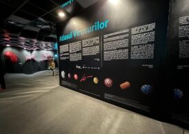 Atlasul Virusurilor, prima expoziție 3D din România care explorează universul invizibil al virusurilor, inaugurată la Art Safari