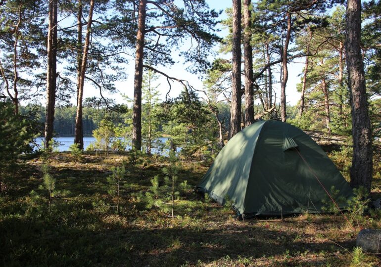Povestea unui IT-ist rus care trăiește în pădure ca să scape de mobilizare: Dormitorul și biroul la cort, cămara în tomberon