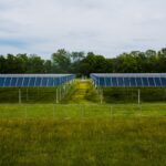 Aţi auzit de agrivoltaice? Francezii fac un experiment: Să producă hrană și energie, în același timp, pe acelaşi teren (Foto&Video)