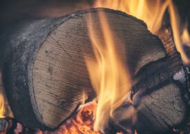 Guvernul a plafonat prețul lemnului de foc