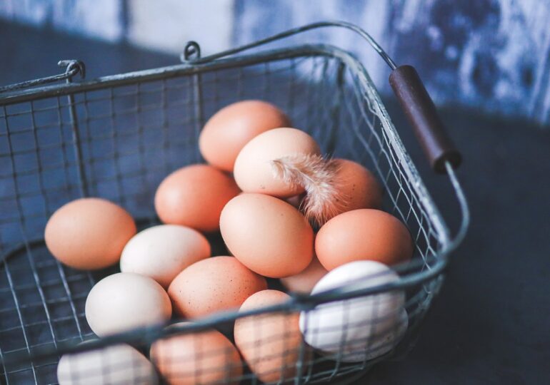 Pentru prima oară în istorie, va scădea producţia de ouă. Preţul deja s-a dublat în Franța