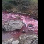 Ce amendă a luat omul care a poluat un râu din Bistriţa de l-a făcut roşu (Video)