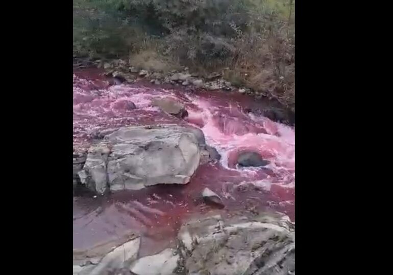Fenomen bizar în Bistrița-Năsăud. Apa unui râu s-a înroșit inexplicabil (Video)