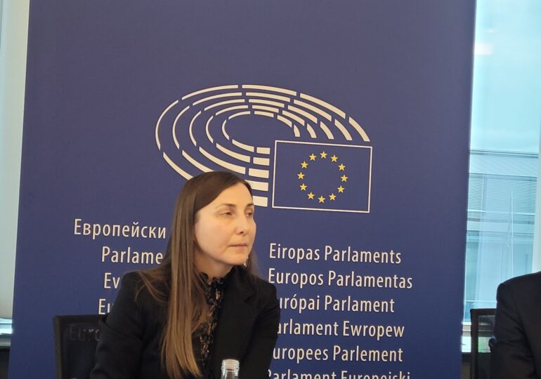 Ambasadoarea Republicii Moldova la UE: Ţara e vulnerabilă și nu sunt necesare acțiuni militare pentru a o destabiliza și mai mult