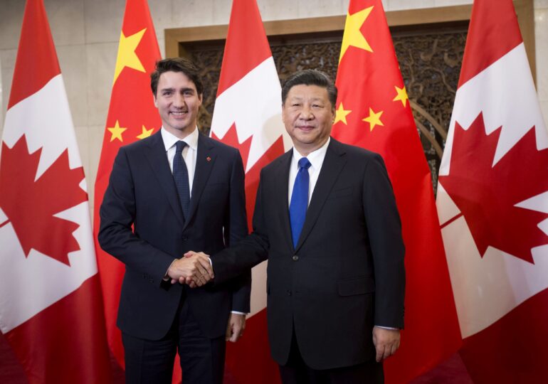 Saturday Costumes Rafflesia Arnoldi Scenă inedită surprinsă de camere: Liderul chinez Xi Jinping îi face morală  lui Justin Trudeau (Video) - spotmedia.ro