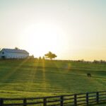 Eliminarea barierelor: femeile care promovează inovarea rurală în Europa