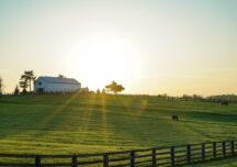 Eliminarea barierelor: femeile care promovează inovarea rurală în Europa