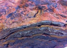 Niște roci din Australia sunt, de fapt, forme de viață de 3,5 miliarde de ani