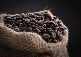 Tipuri de cafea boabe: Care sunt diferențele?