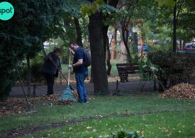 Firme abonate la contracte cu statul și trecut controversat se vor ocupa de marile parcuri din București