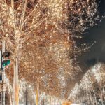 Cât plătesc primăriile din București pentru luminițele de Crăciun. Comparație cu Sibiu, Oradea, Brașov, Constanța și Craiova