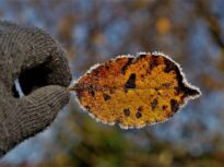 Vremea se schimbă brusc: temperaturi cu 10 grade mai mici, ploi, lapoviță și brumă