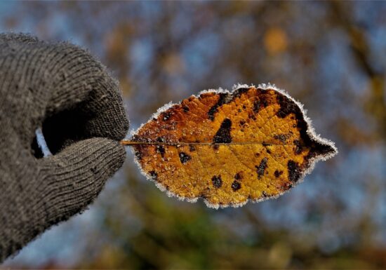 6 motive pentru care simțim frigul mai intens odată cu înaintarea în vârstă - și ce putem face în privința asta