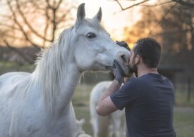 Oamenii chiar pot înțelege mesajele transmise de animale