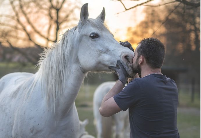 Oamenii chiar pot înțelege mesajele transmise de animale