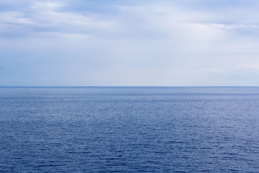 Un pește veninos rar a apărut în Marea Adriatică, într-o zonă populară printre turiști. Avertismentul specialiștilor