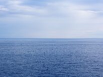 Un pește veninos rar a apărut în Marea Adriatică, într-o zonă populară printre turiști. Avertismentul specialiștilor