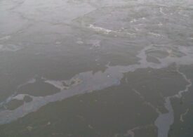 Poluare cu petrol pe Dunăre pe o lungime de 6 kilometri (Foto)