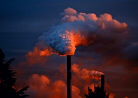 Poluarea: Care sunt cauzele, efectele și modalitățile de combatere