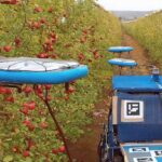 Roboții zburători care culeg fructele în Israel (Video)