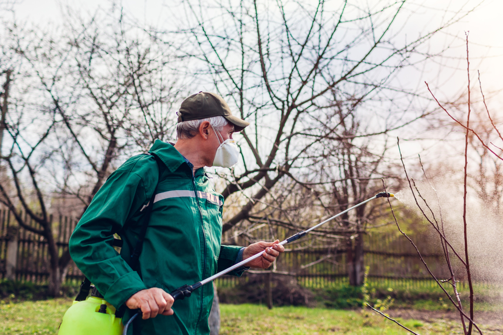 Farmer,Man,Spraying,Tree,With,Manual,Pesticide,Spr