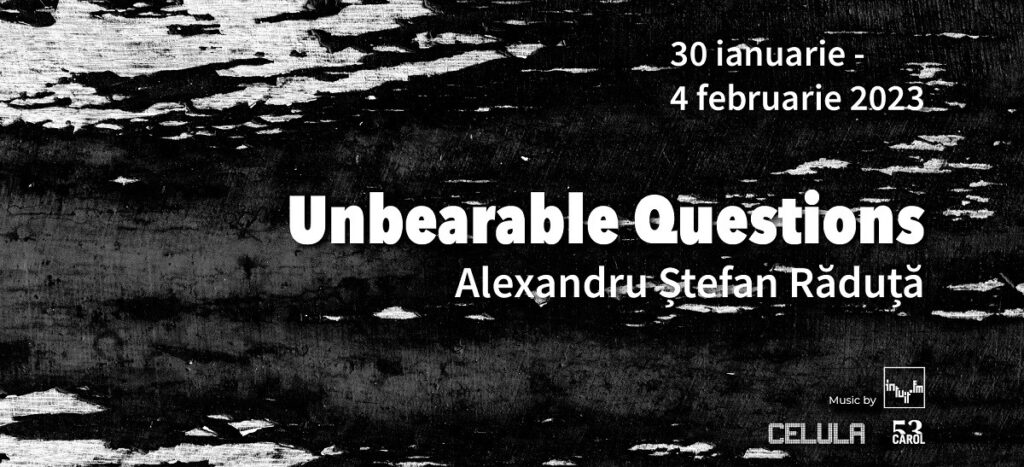 Unbearable-Questions-I-Alexandru-Stefan-Raduta-@Ce