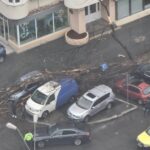 24 de copaci au fost rupți de vânt în zona Capitalei: Mai mulți oameni au fost răniți și 20 de mașini avariate