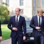 Prințul Harry povestește o bătaie recentă cu William. Totul a început de la Meghan