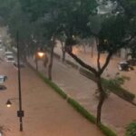 Furtună și precipitații record în Brazilia: 24 de morți (Foto & Video)