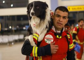 Cei mai antrenați câini de căutare vin în Turcia: Patrupezii din Mexic intră în cursa contra cronometru pentru salvarea de vieți (Foto&Video)