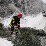 Efectele vremii rele: Copaci căzuți, oameni răniți, trenuri blocate și copii evacuați din școală