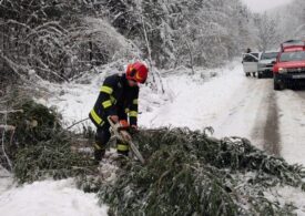 Efectele vremii rele: Copaci căzuți, oameni răniți, trenuri blocate și copii evacuați din școală