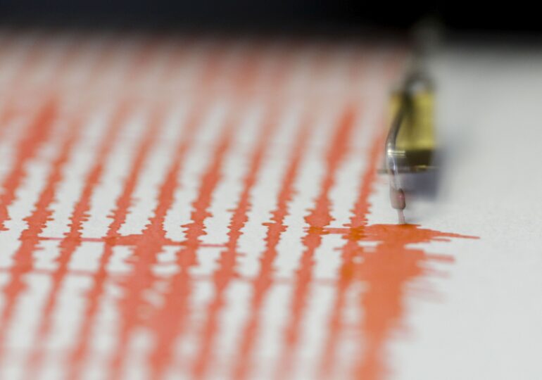 Cutremur de magnitudine 3,5 în zona seismică Vrancea